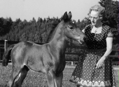 Elisabeth Mann Stiftung
